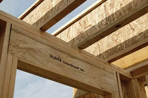 Timberstrand-Photo_-(1)